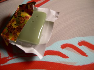dscn3410