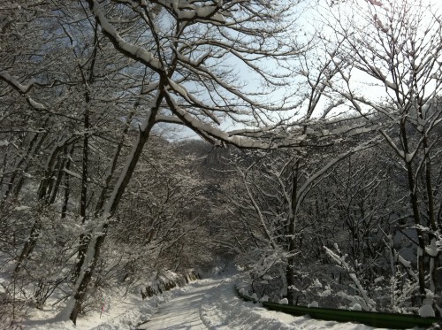 Snow Holidays
